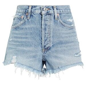 Agolde Parker Denim Shorts in Swapmeet